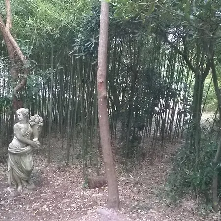 Villa Lou Mazet - Piscine Privée