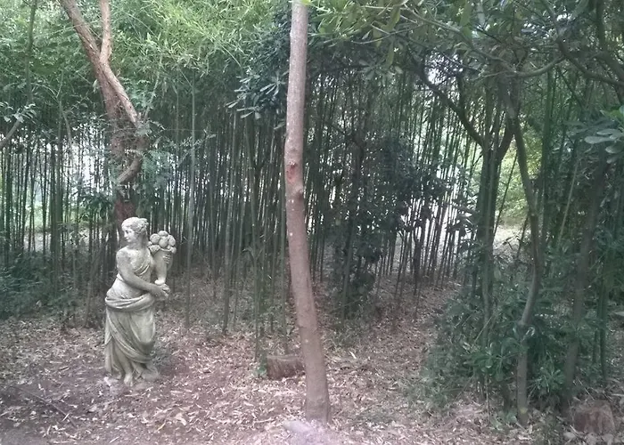 Villa Lou Mazet - Piscine Privee